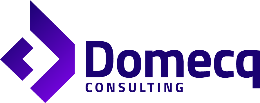 Domecq Consulting